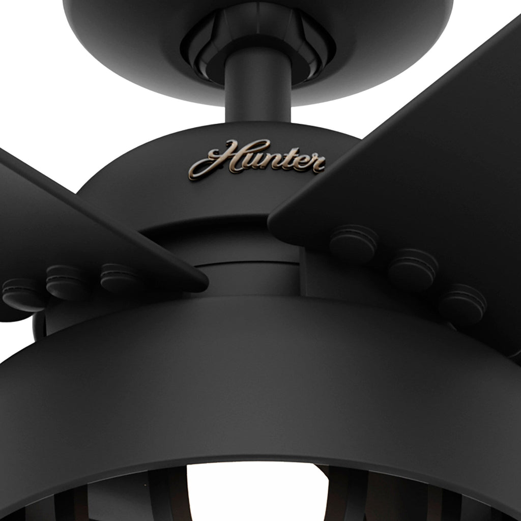 Ventilateur de plafond Hunter 52 Autumn Breeze II pour intérieur/extérieur avec éclairage LED et télécommande - Style industriel, transitionnel, moderne, cage
