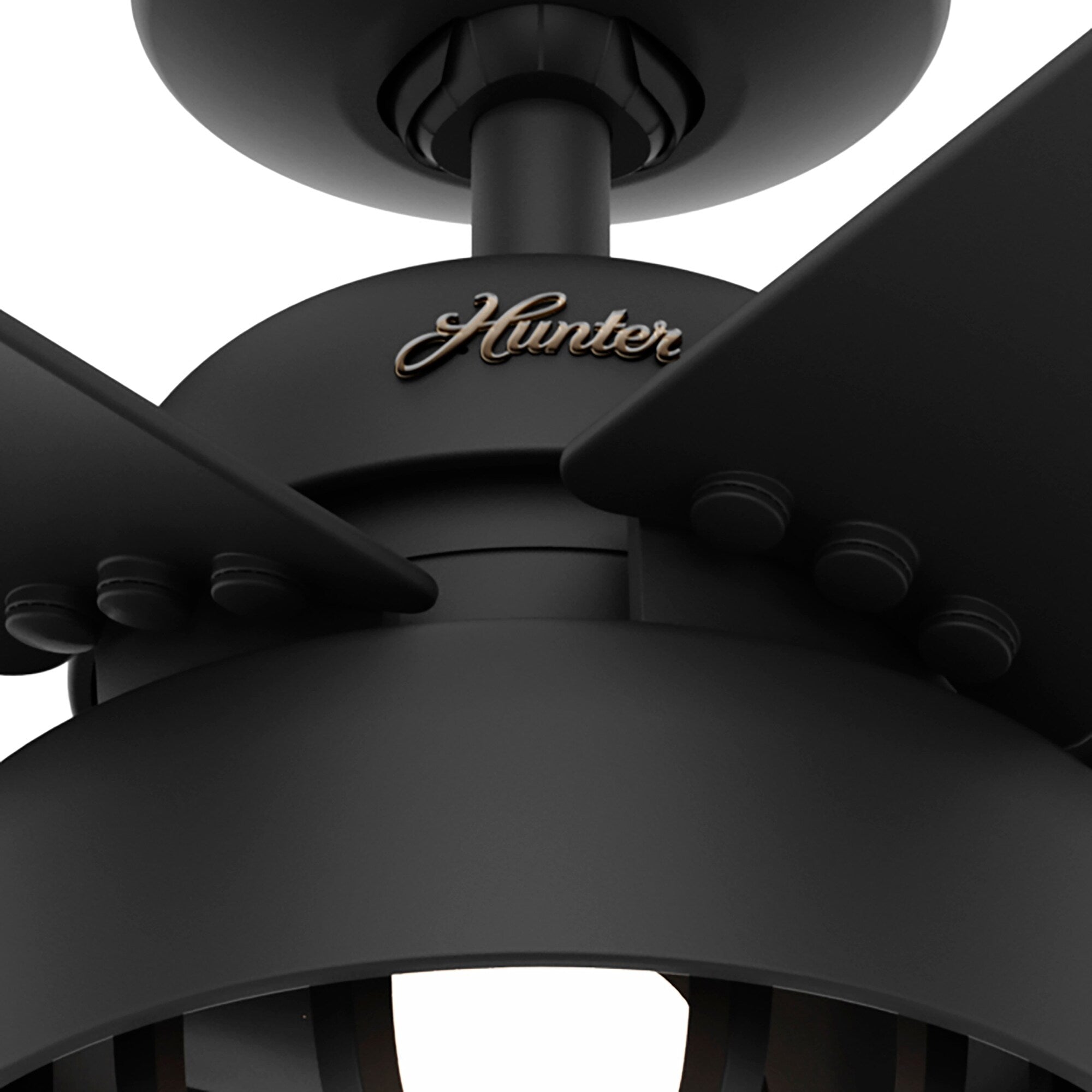 Ventilateur de plafond Hunter 52 Autumn Breeze II pour intérieur/extérieur avec éclairage LED et télécommande - Style industriel, transitionnel, moderne, cage