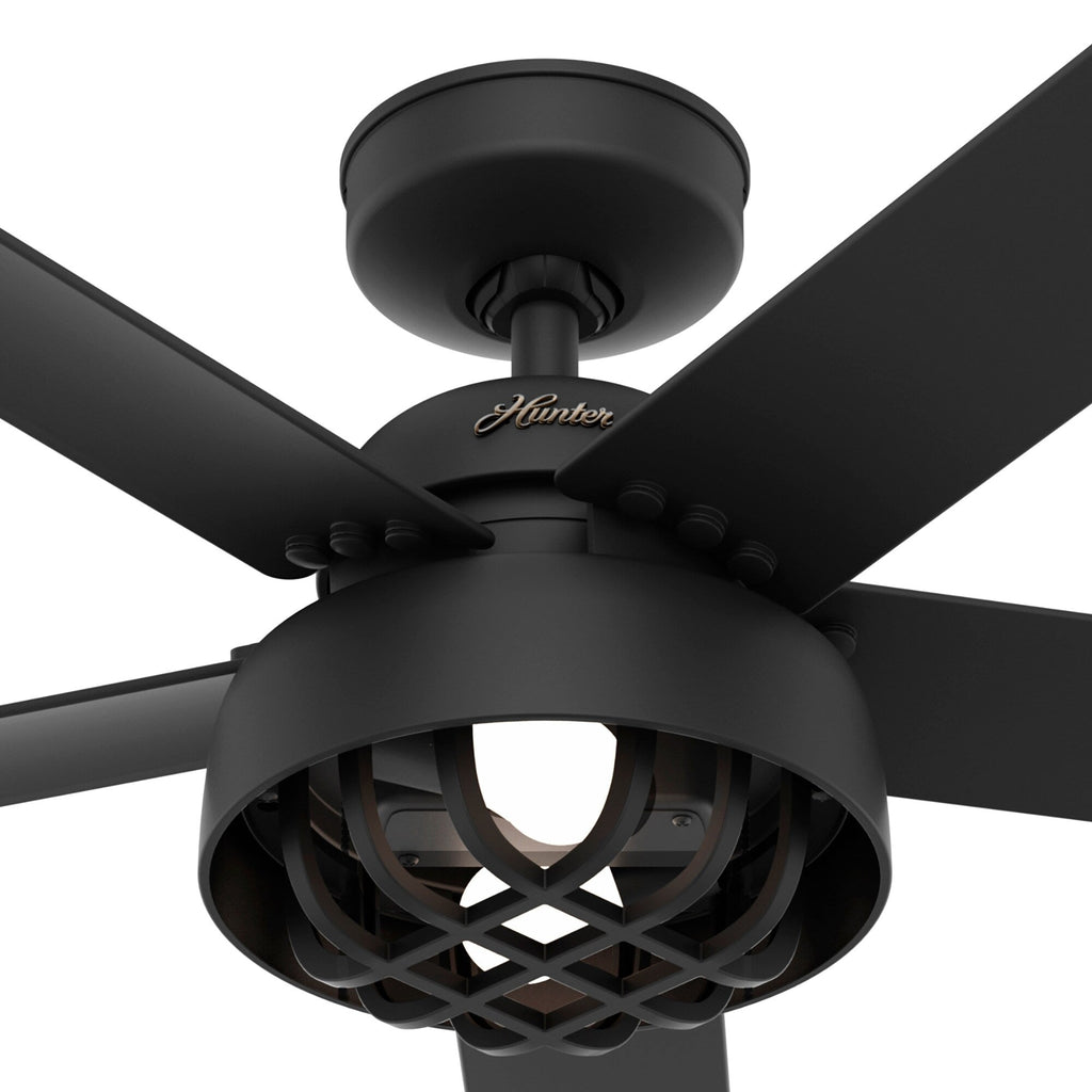 Ventilateur de plafond Hunter 52 Autumn Breeze II pour intérieur/extérieur avec éclairage LED et télécommande - Style industriel, transitionnel, moderne, cage