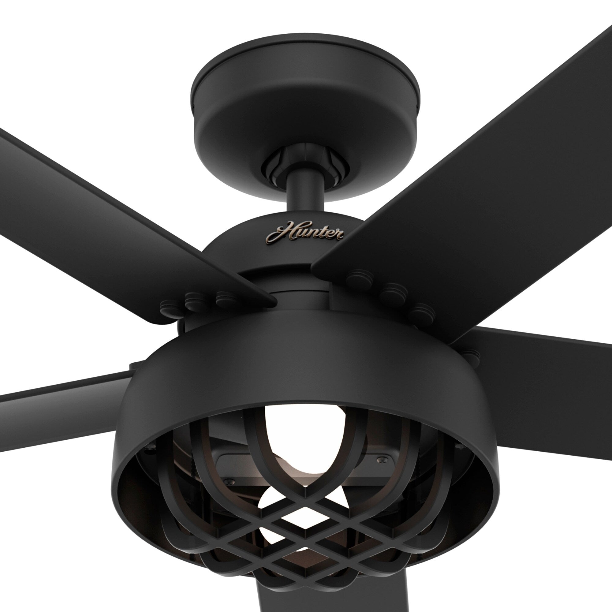 Ventilateur de plafond Hunter 52 Autumn Breeze II pour intérieur/extérieur avec éclairage LED et télécommande - Style industriel, transitionnel, moderne, cage