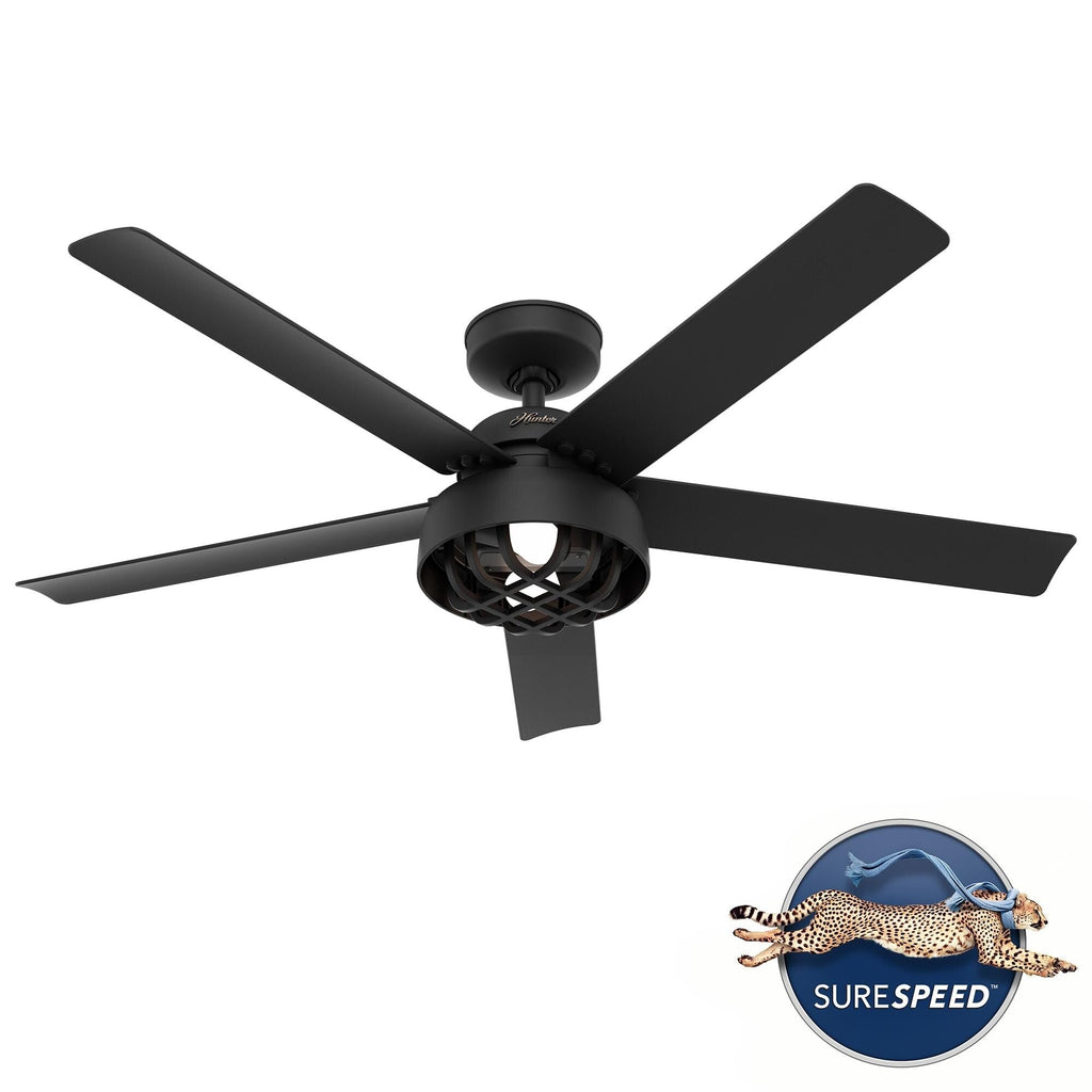 Ventilateur de plafond Hunter 52 Autumn Breeze II pour intérieur/extérieur avec éclairage LED et télécommande - Style industriel, transitionnel, moderne, cage