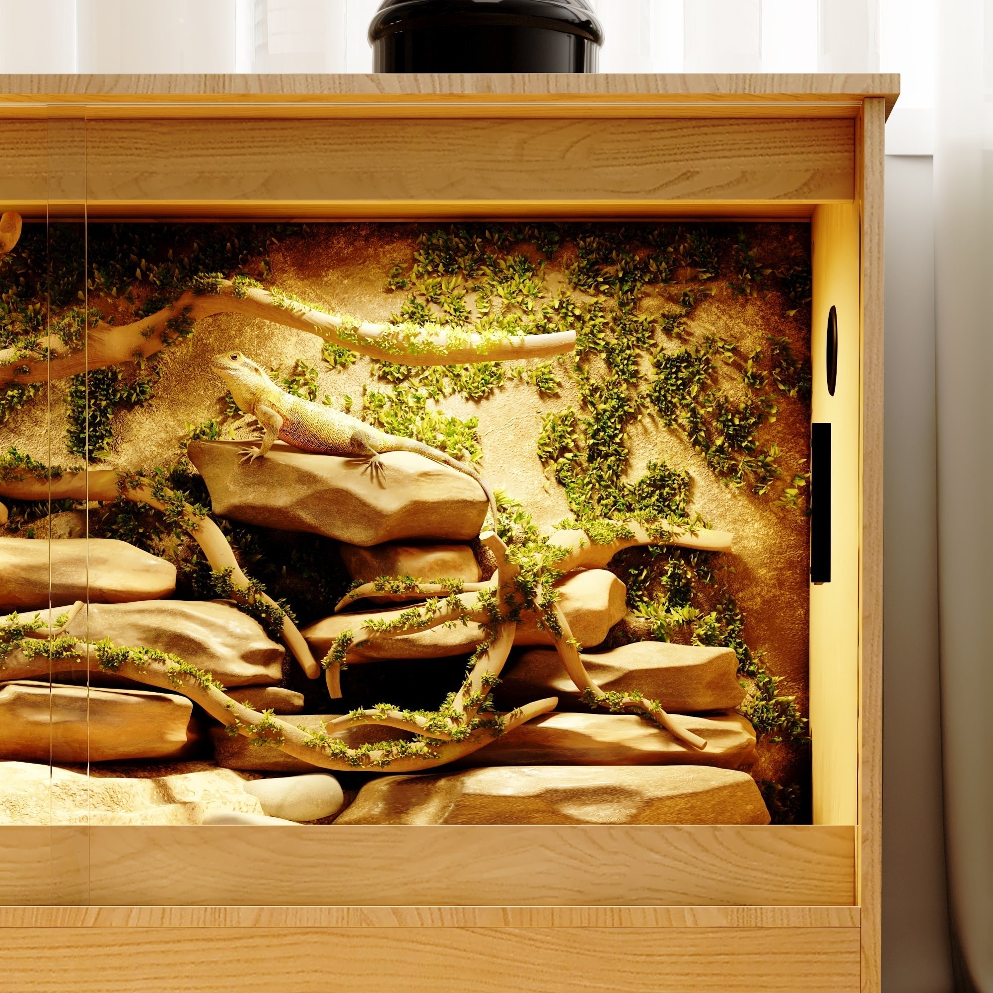 Habitat pour reptiles - Terrarium spacieux pour lézards, serpents et autres - 47,2